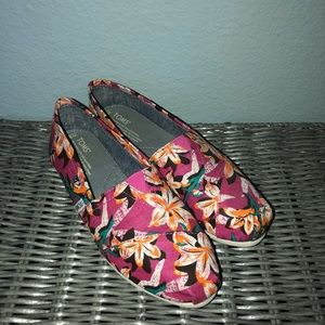 TOMS Classics prints size 8.5